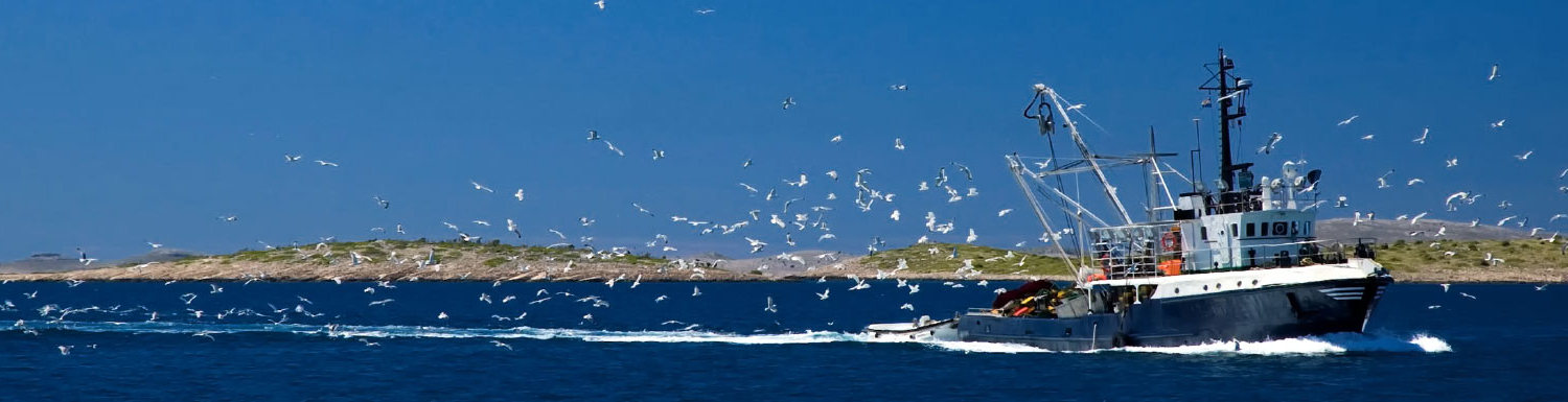 artigiana-sud-linea-mare-banner