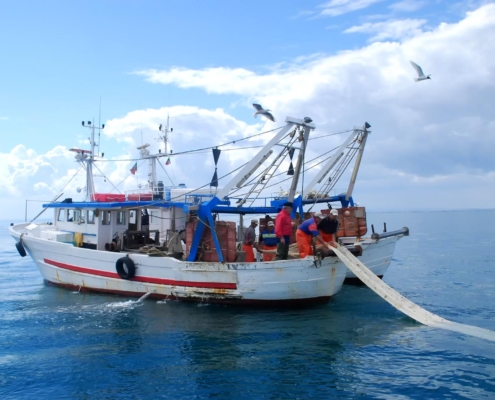 artigianasud-gastronomia-mediterranea-specialita-del-mare-2